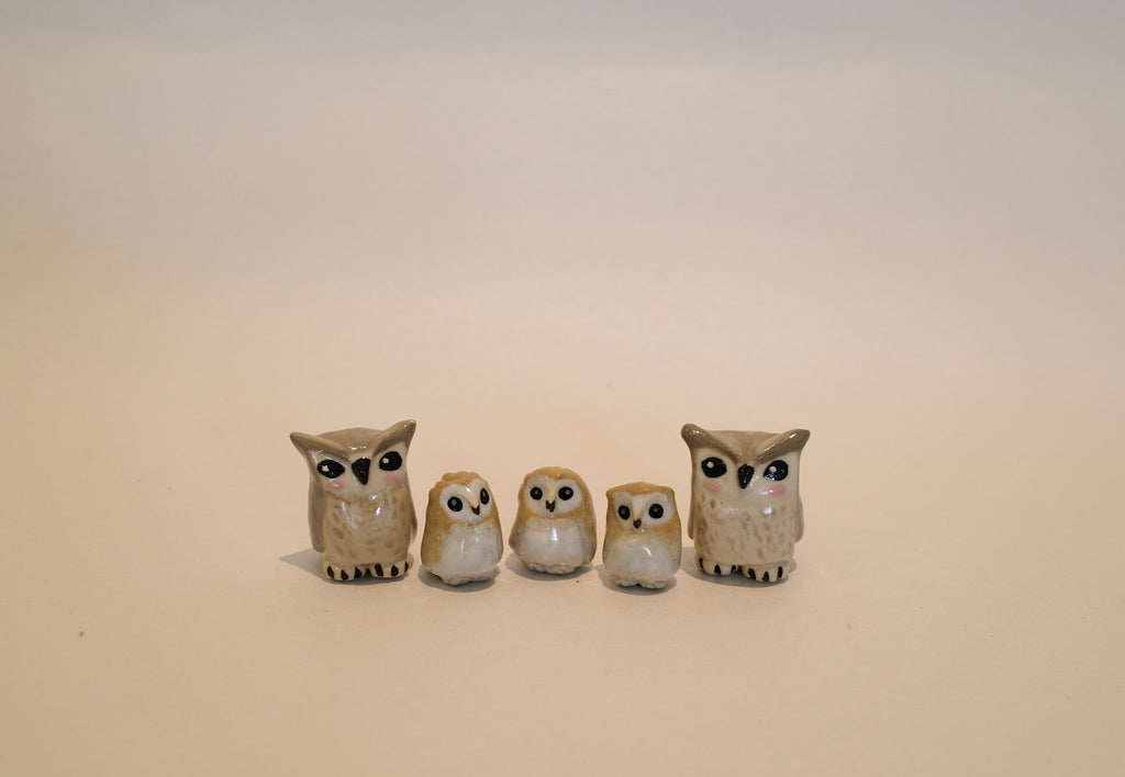 The Owl Family
