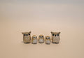 The Owl Family