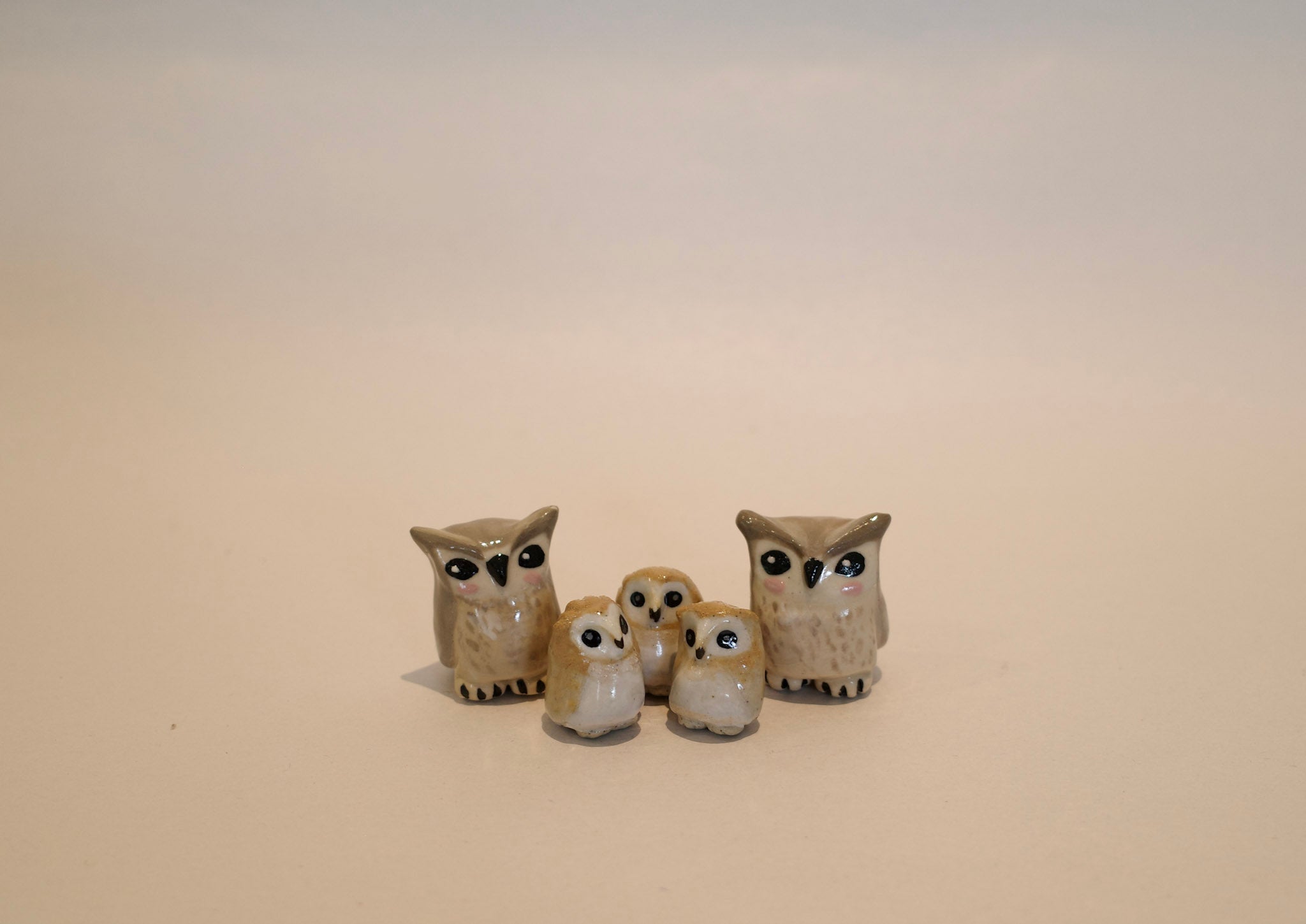 The Owl Family