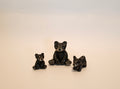 Ms Black Bear & babies