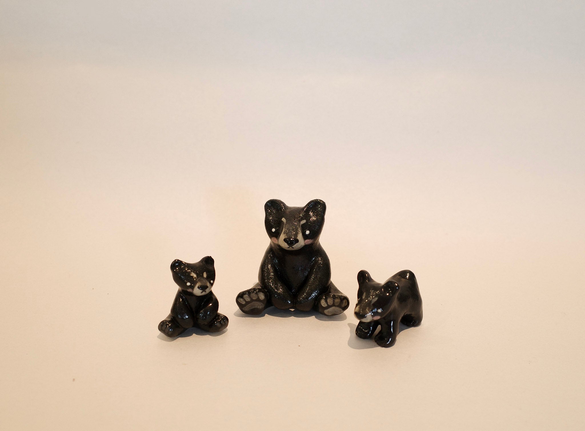 Ms Black Bear & babies