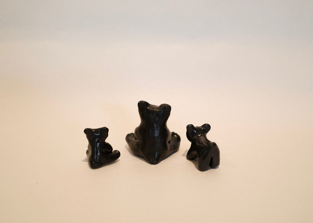 Ms Black Bear & babies