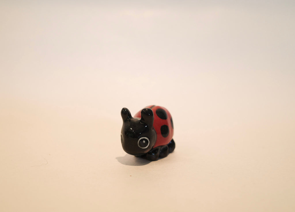 Mr Ladybird