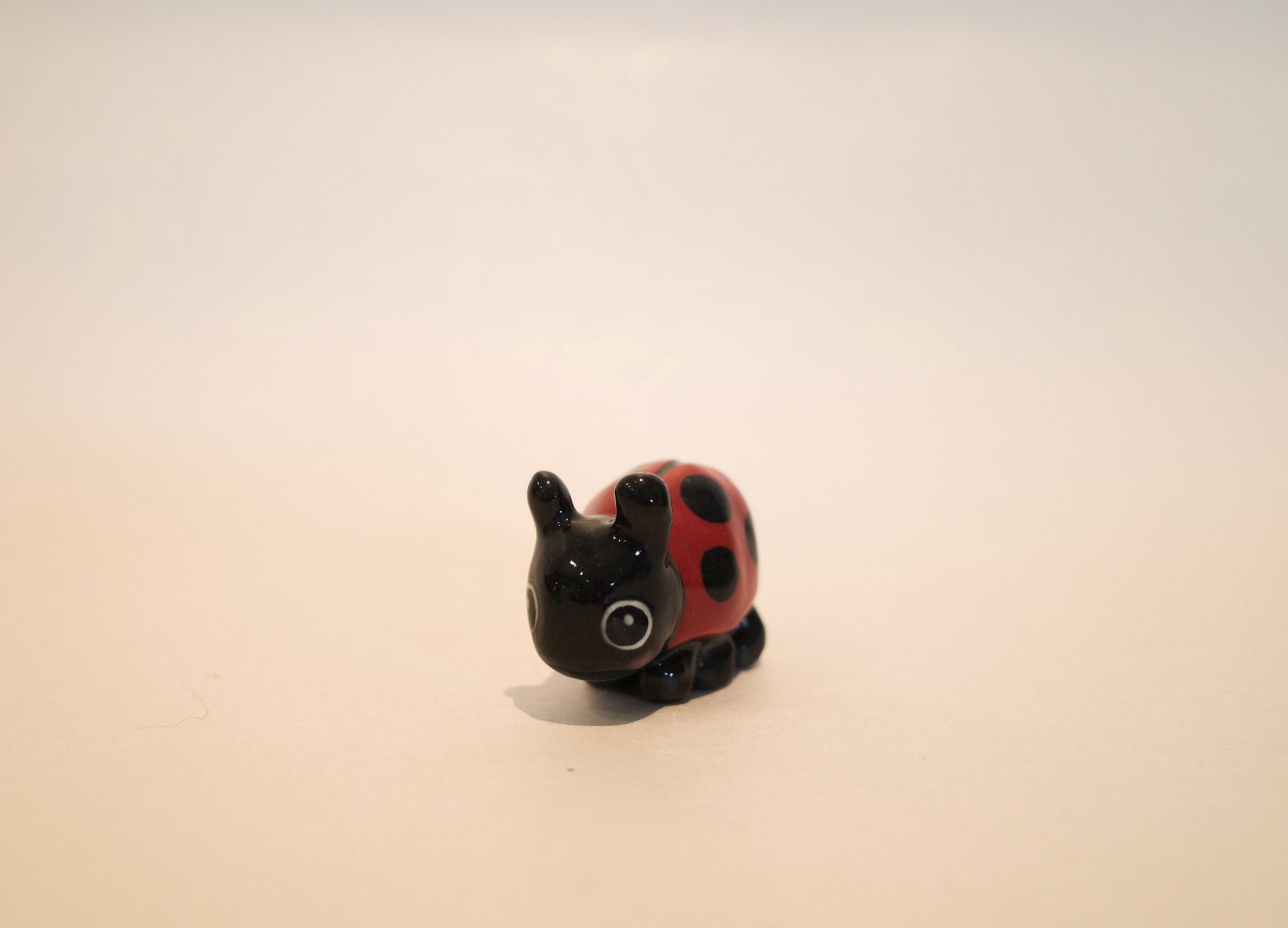 Mr Ladybird