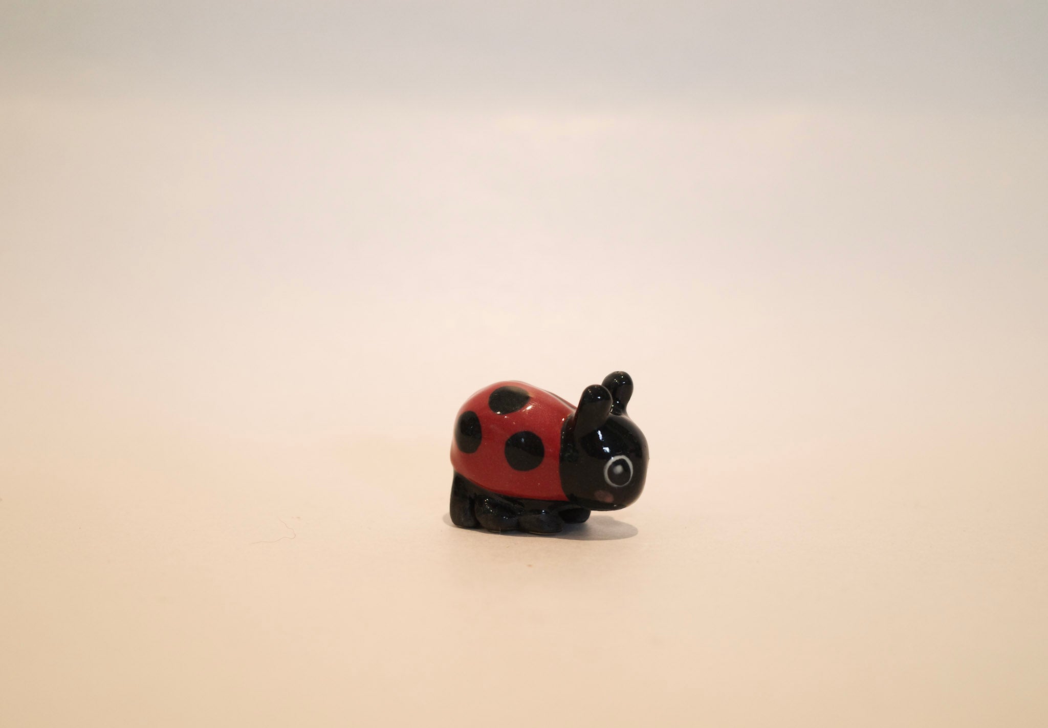 Mr Ladybird